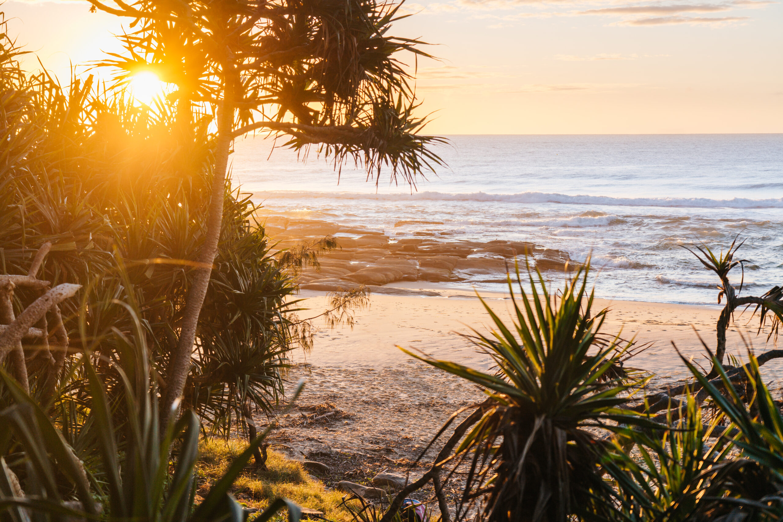 Beach Banner Image